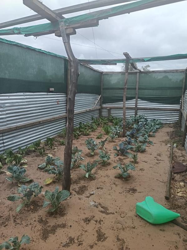 2 Bedroom Property for Sale in Albertinia Western Cape